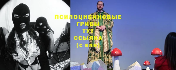 стаф Алексеевка