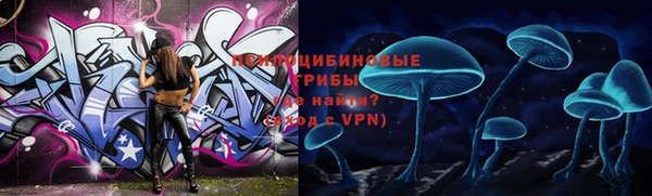 таблы Алексин