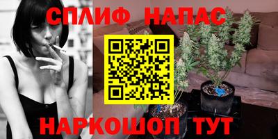 мяу мяу мука Гуково