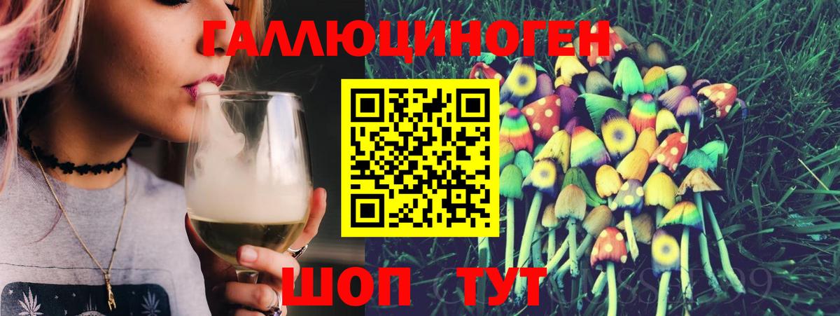 Галлюциногенные грибы Psilocybe Находка